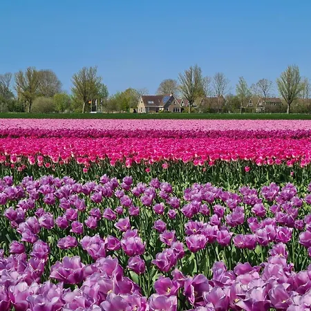 68 Op Recreatiepark De Wielen *