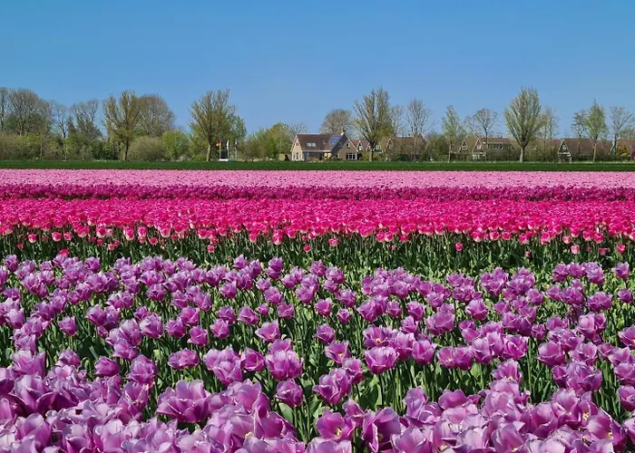 68 Op Recreatiepark De Wielen *